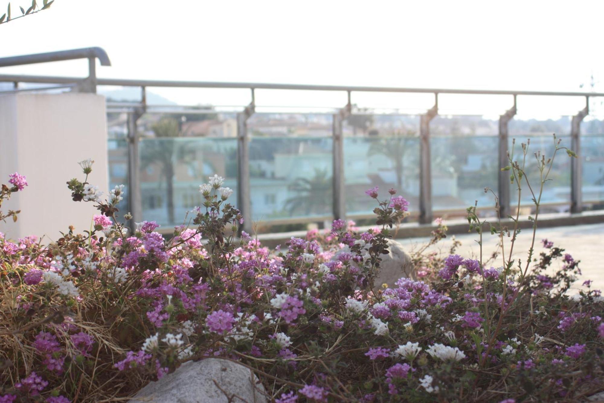 Rober Hotel 3*